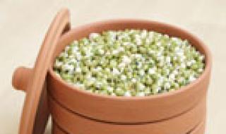 Popis, výhody a poškodenie malých zelených fazúľ Mash (Golden)