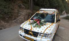 How to decorate wedding cars with your own hands?
