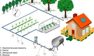 How to independently distribute water at your dacha for irrigation