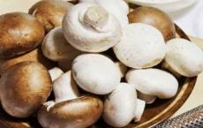Рецепты салатов с жаренными грибами