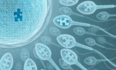 Bagaimana cara meningkatkan peluang hamil selama ovulasi?