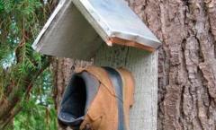 DIY birdhouse: master class with photos