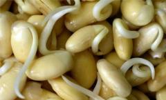 Is it possible to bear fruit in legumes at home?