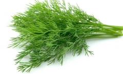Why do you dream about dill according to the dream book?