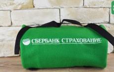 Life and health insurance Sberbank
