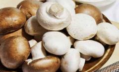 Salad recipes with fried mushrooms