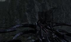 Chit on a crossbow in skyrim.